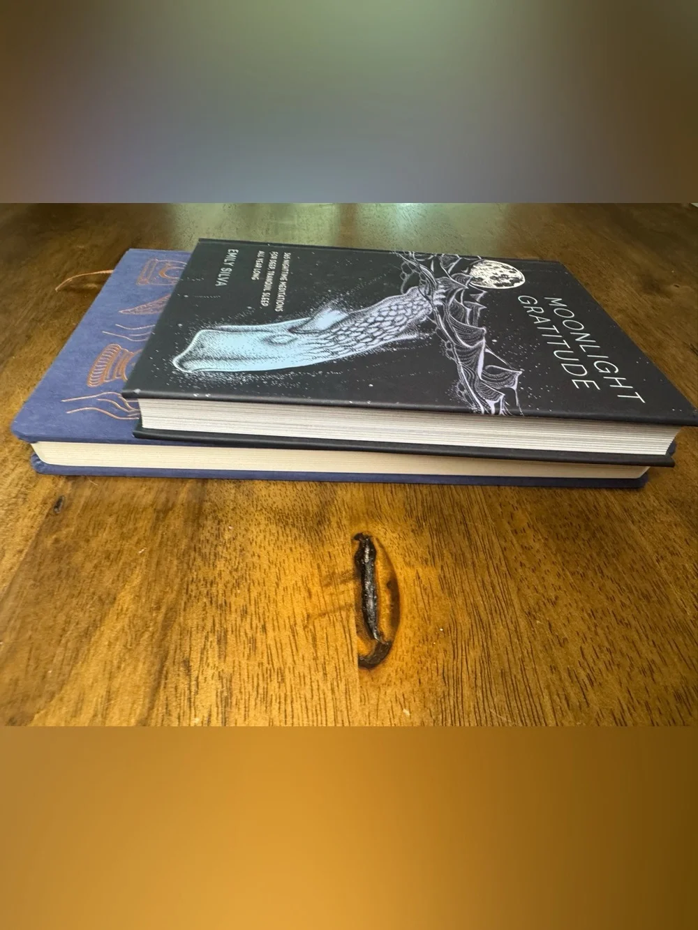 Book Bundle: Moonlight Gratitude by Emily Silva & Blank Journal - 2 Item Lot